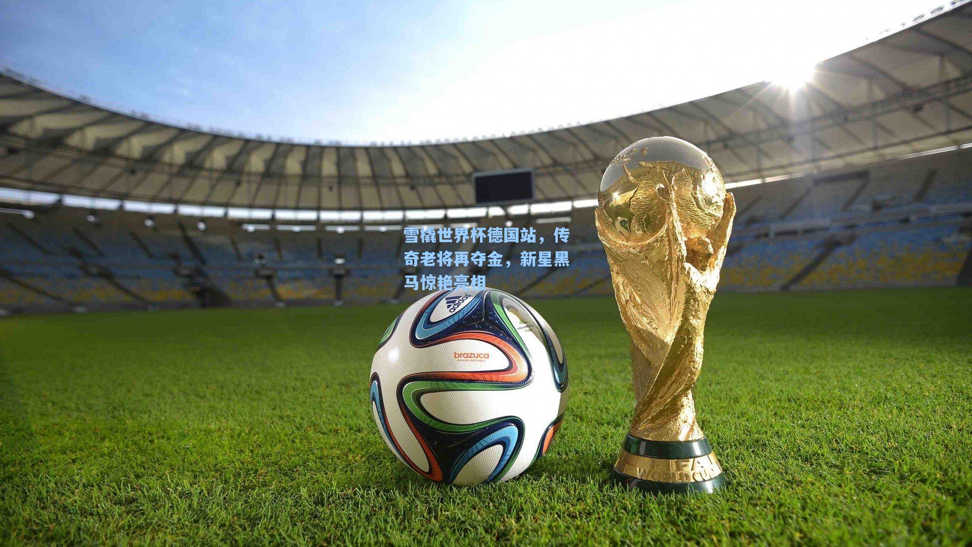 雪橇世界杯德国站，传奇老将再夺金，新星黑马惊艳亮相